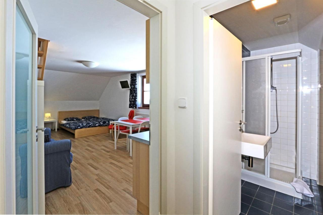 Apartmany Fox Boží Dar Eksteriør billede